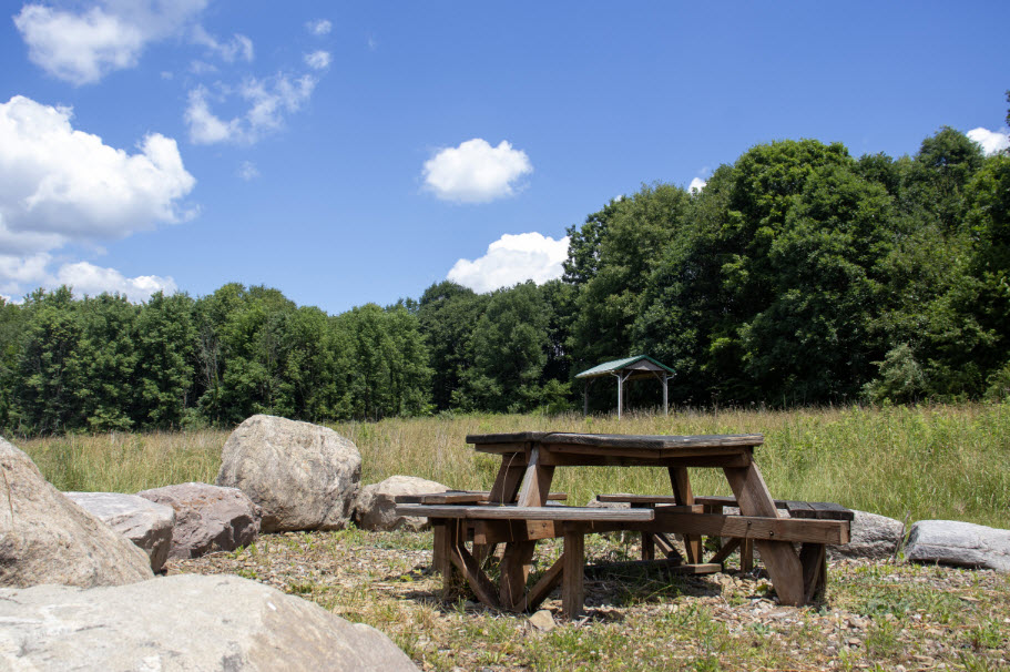 Ramser Arboretum, United States